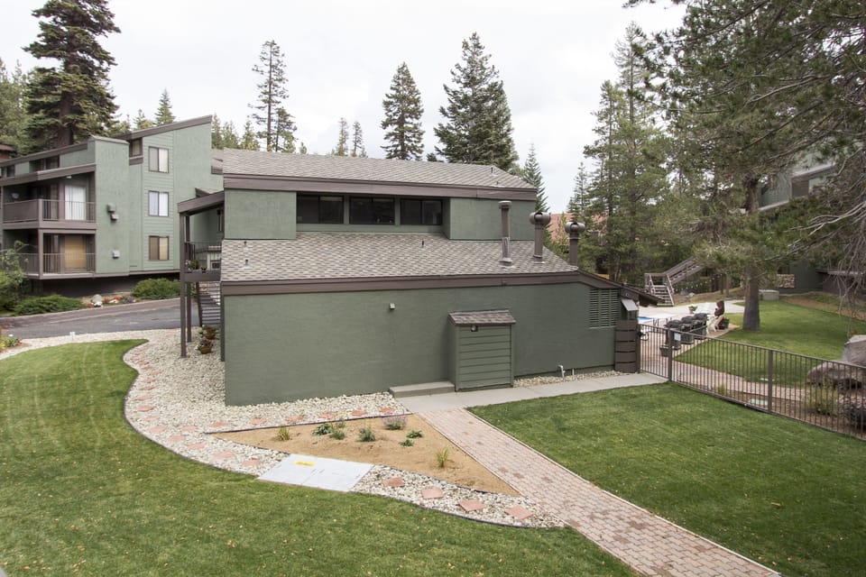 Grass, Tree, Fir, Roof, Lawn