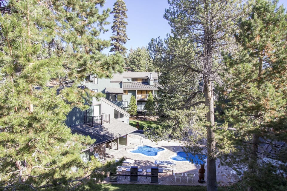 Tree, Fir, Outdoors, Building, Hotel