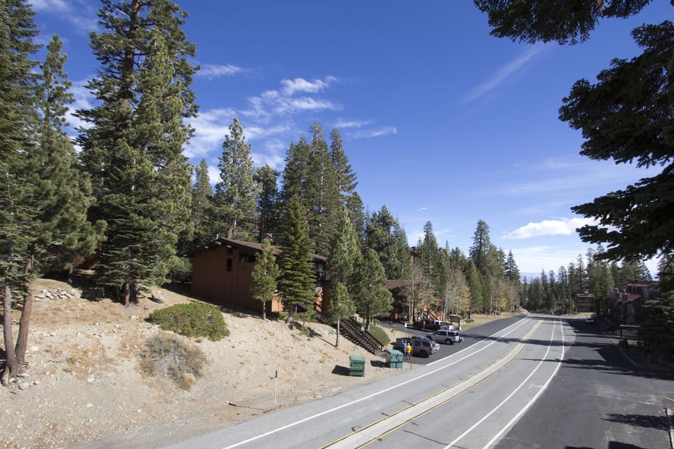Road, Highway, Freeway, Tree, Fir