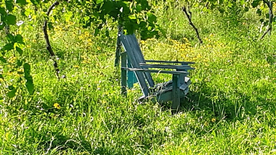 The break room when vine tending