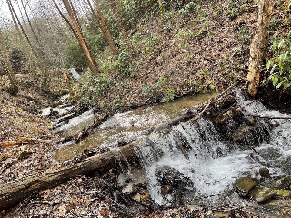Creek along the property in front of the house and the decks.