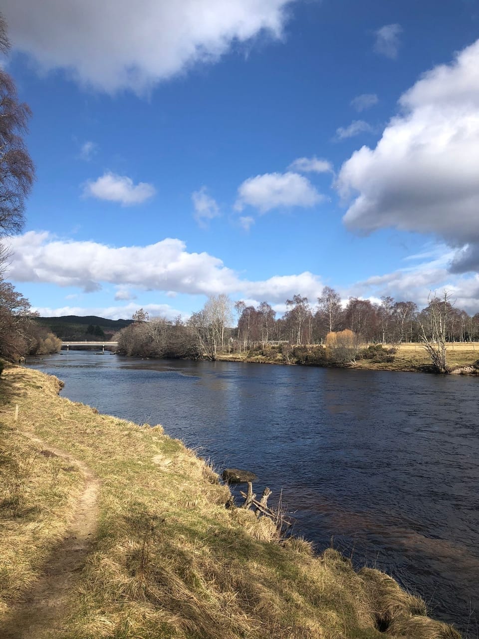 Salmon trail along the river Spey