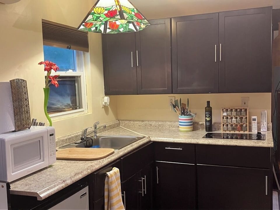 kitchen with all necessary appliances IF you decide to cook!
