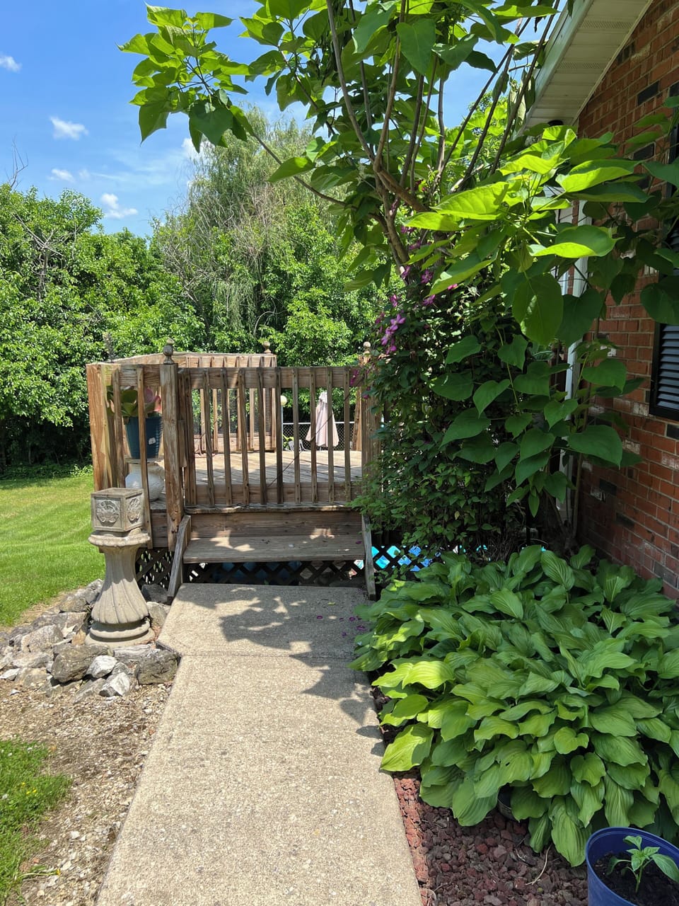 Gate to pool area and entrance