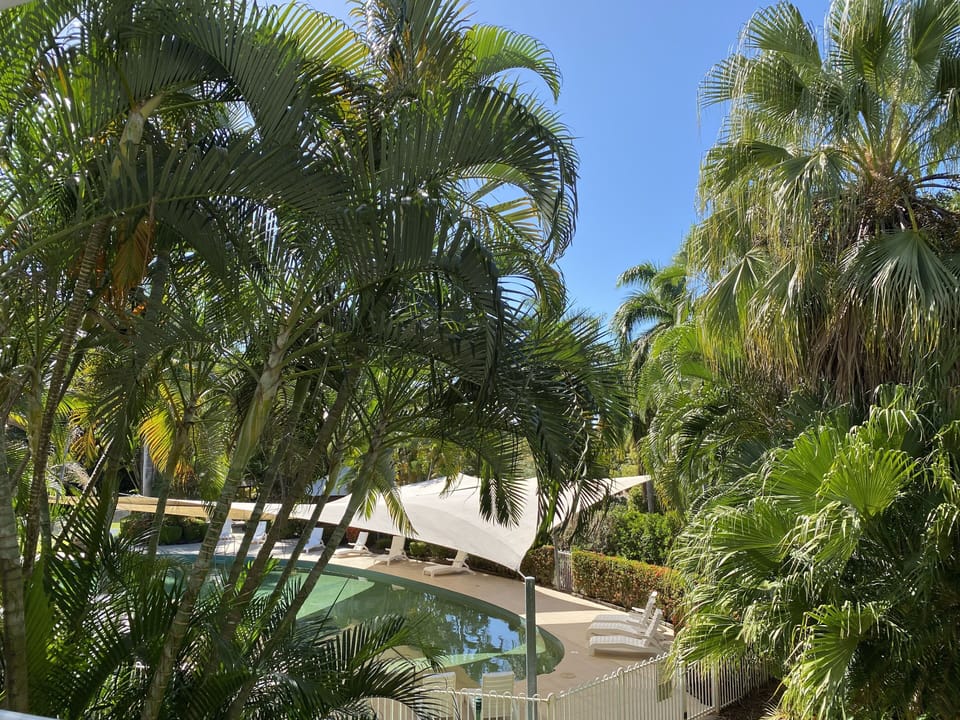 Outstanding pool and rainforest garden views
