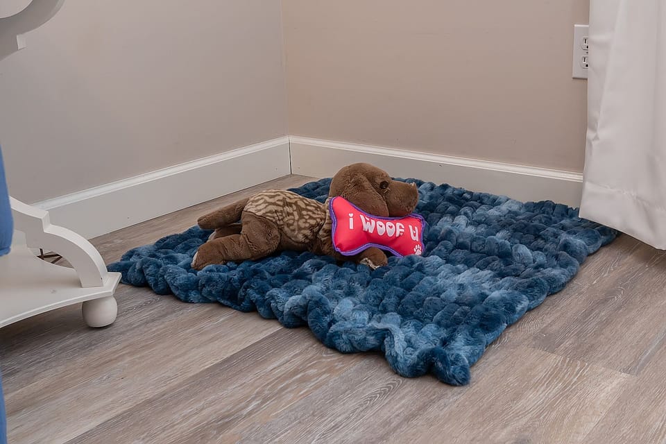 Dogs Welcome!!