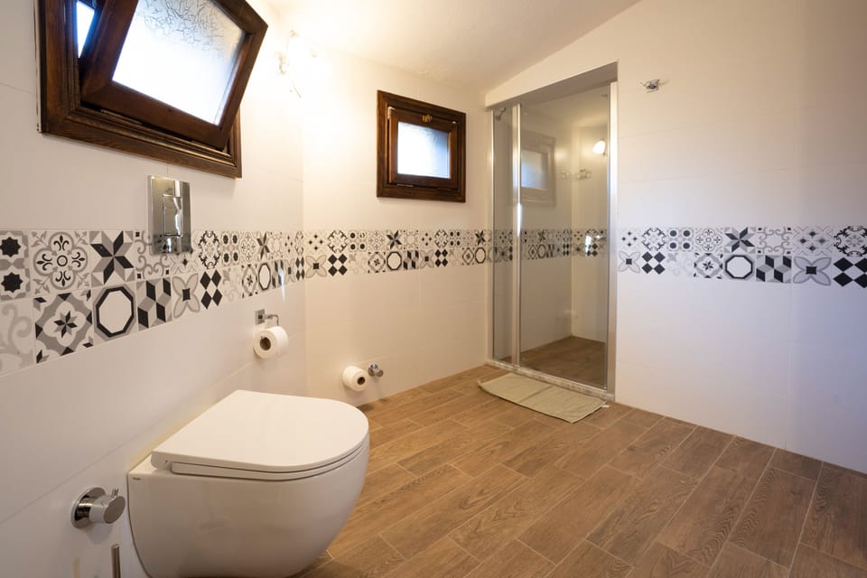 Deluxe Suite | Bathroom | Shower, rainfall showerhead, free toiletries, hair dryer