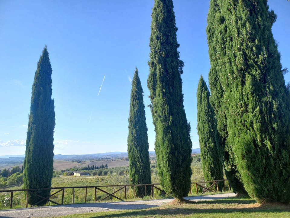 Loft, 2 Bedrooms, Smoking, Patio | View from property