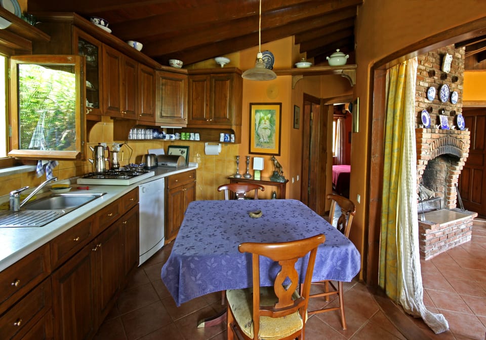 House | Private kitchen | Fridge, oven, stovetop, dishwasher