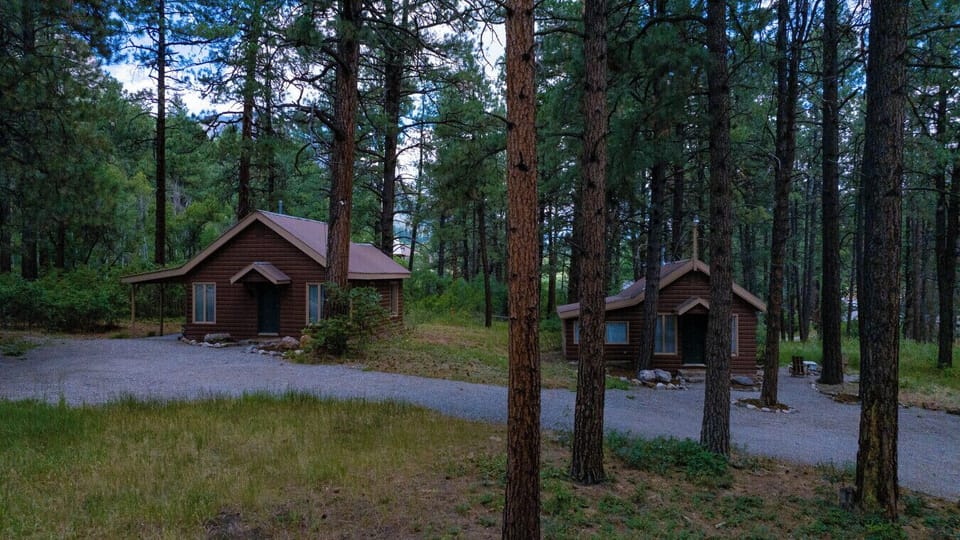 The 1 Bedroom cabin is on the left (no shared spaces)