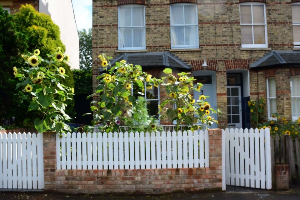 Jericho Studio Outside