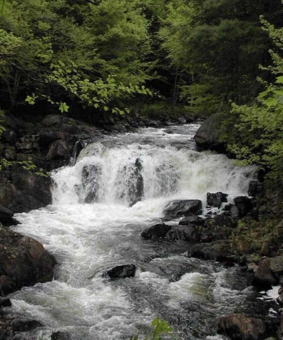 Brook’s Falls