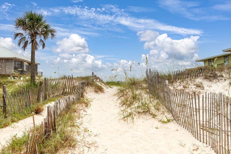 Sandy boardwalk leads through coastal dunes to the beach, lined with protective fencing and swaying palm trees under a bright blue sky.