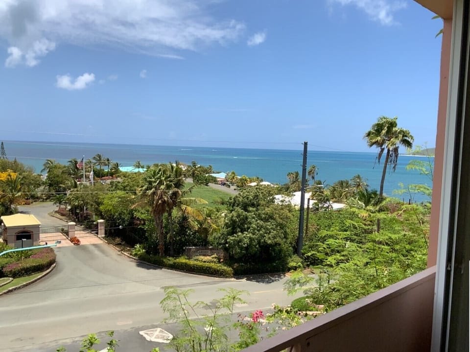 2nd view from Patio