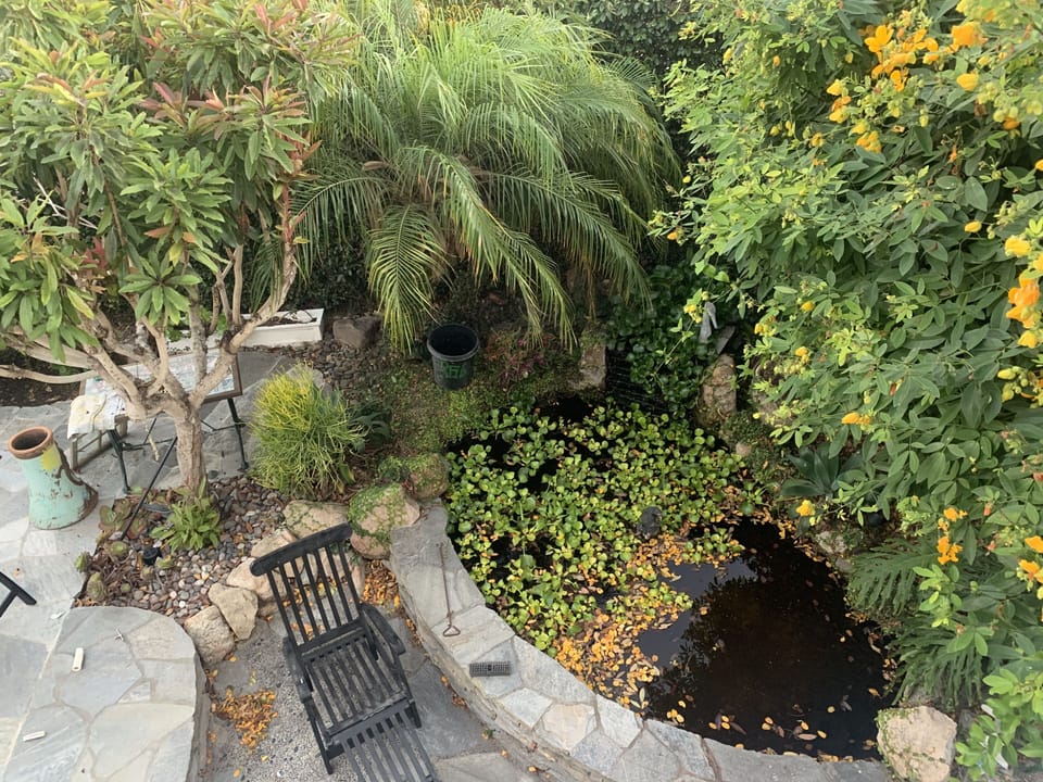 view from the balcony of the cottage