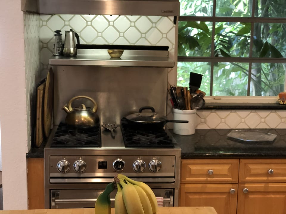 Gas chef's stove