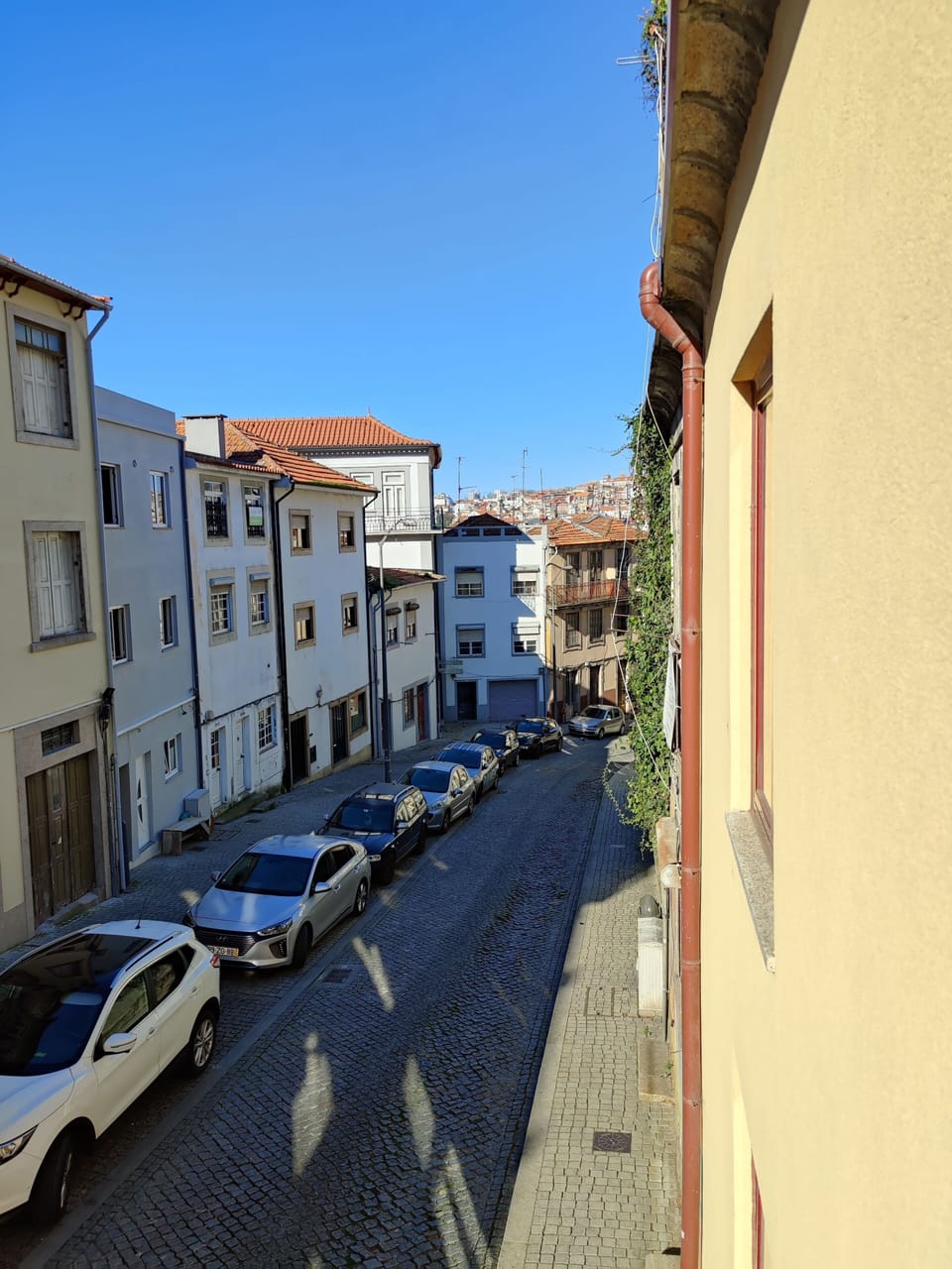 Rua nas proximidades 