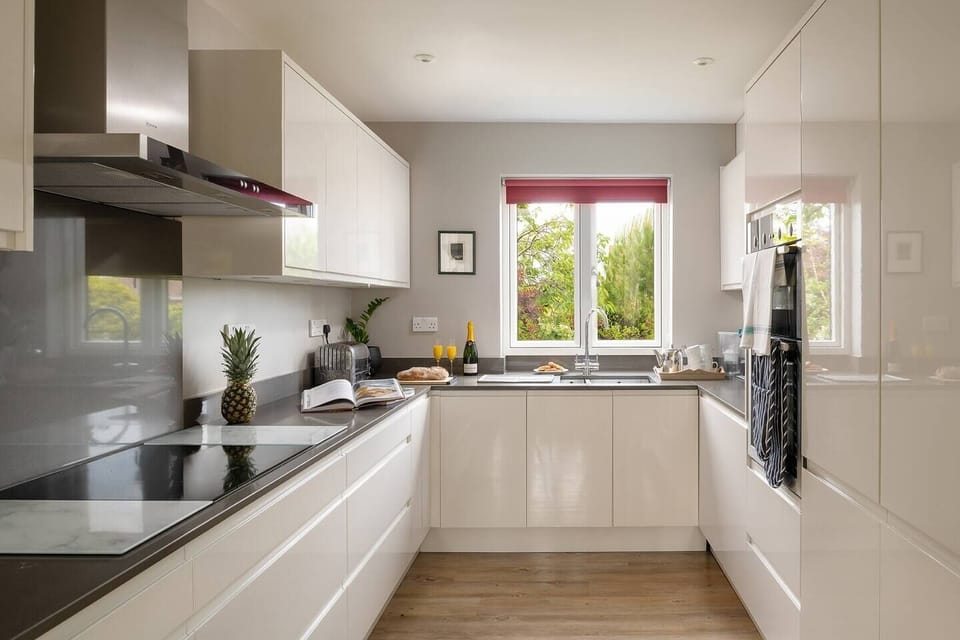 Dishwasher, microwave, Vitamix, Magimix, water filter, induction hob, smart speaker, Dualit toaster and Neff oven