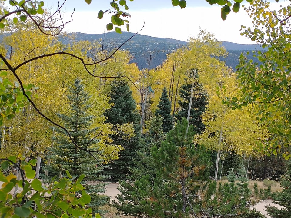 View from Front Deck