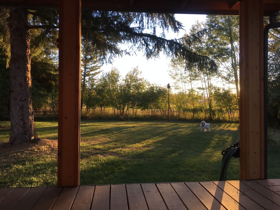 Backyard with beautiful sunsets off private covered porch!