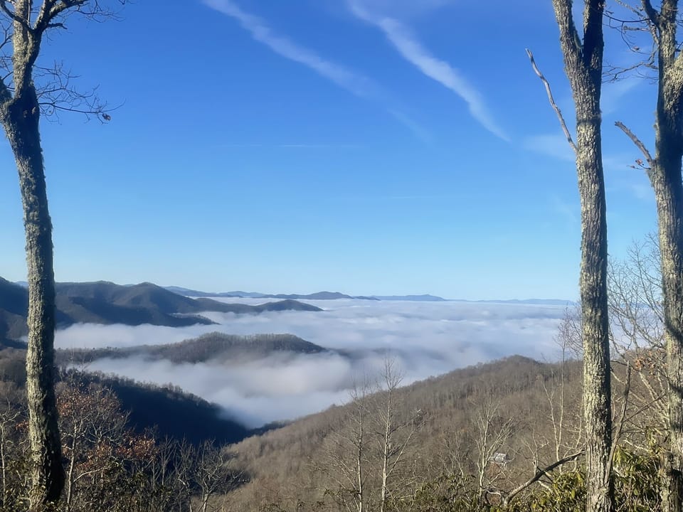 Winter View from the Deck