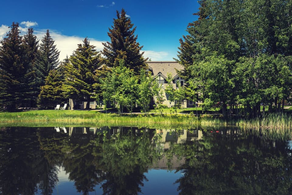 View of pond