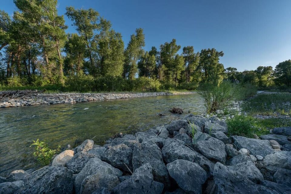 Creek in back yard