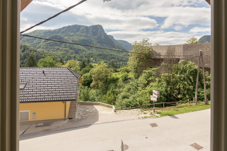 View from the house