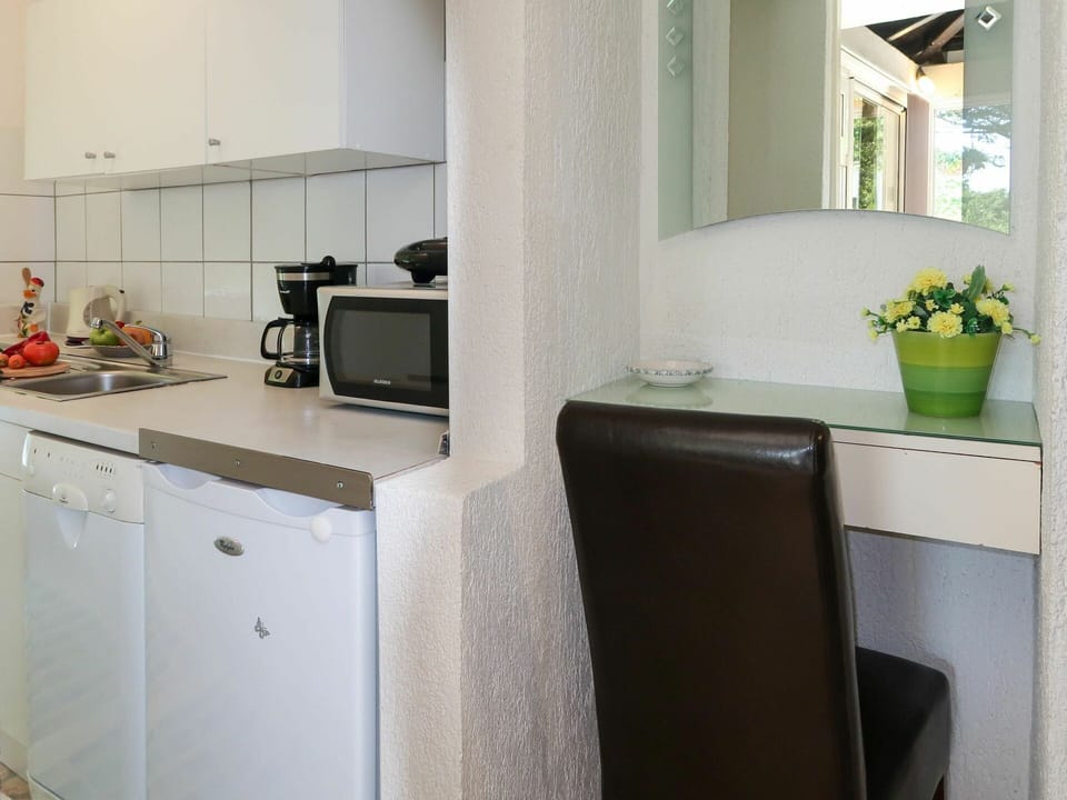 Property, Cabinetry, Countertop, Plant, Flowerpot, Kitchen Appliance, Kitchen Stove, Kitchen, Home Appliance, Interior Design