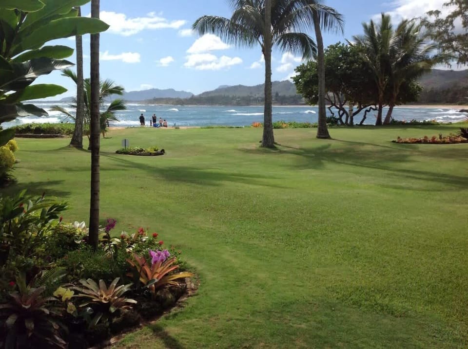 Walk To The Beach