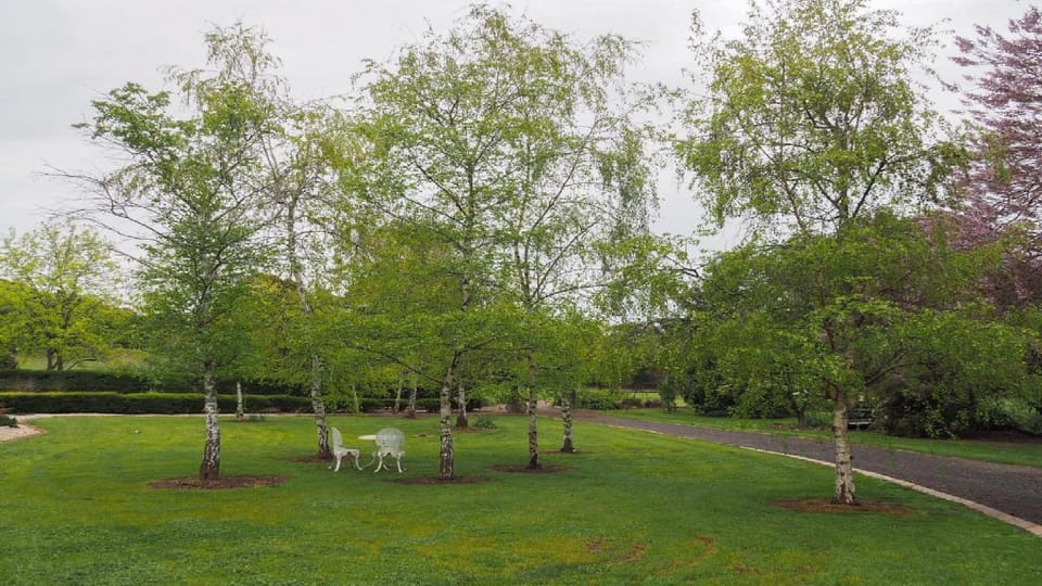 Magnificent grounds to enjoy