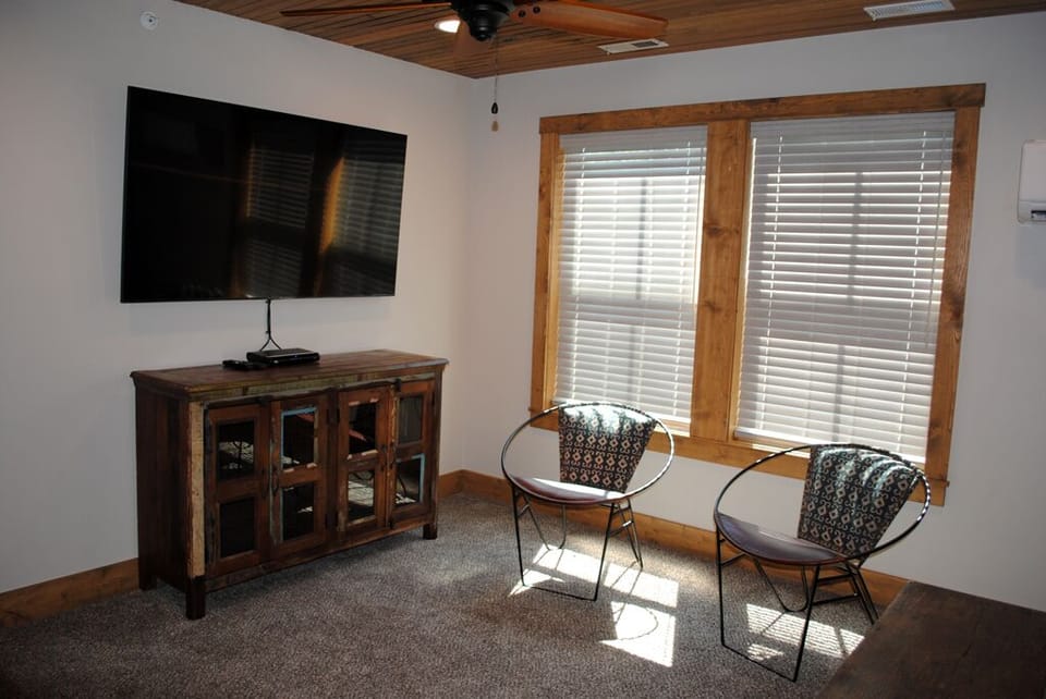 TV and reading area