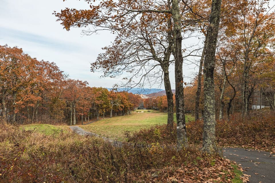 View of golf course from back yard.