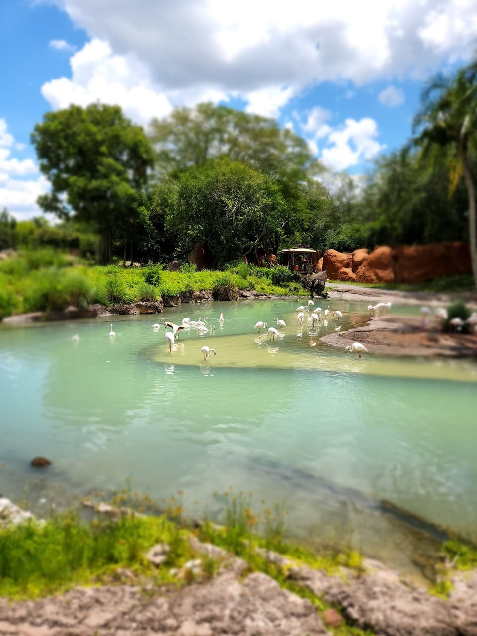 Visit South Padre Island,  Port Isabel,  Brownsville Zoo and so much more! 