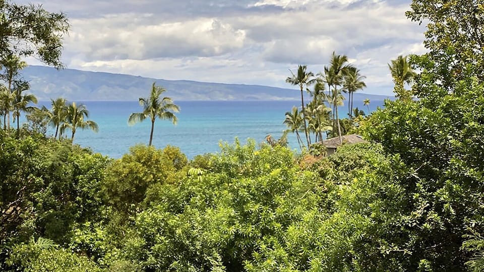 View from main floor balcony