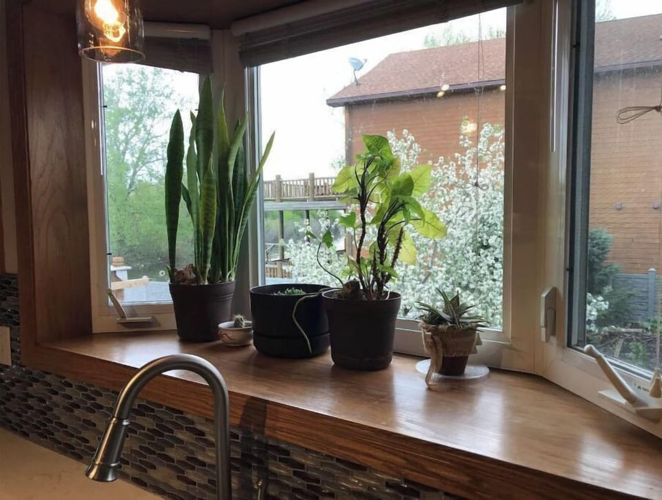 Kitchen view