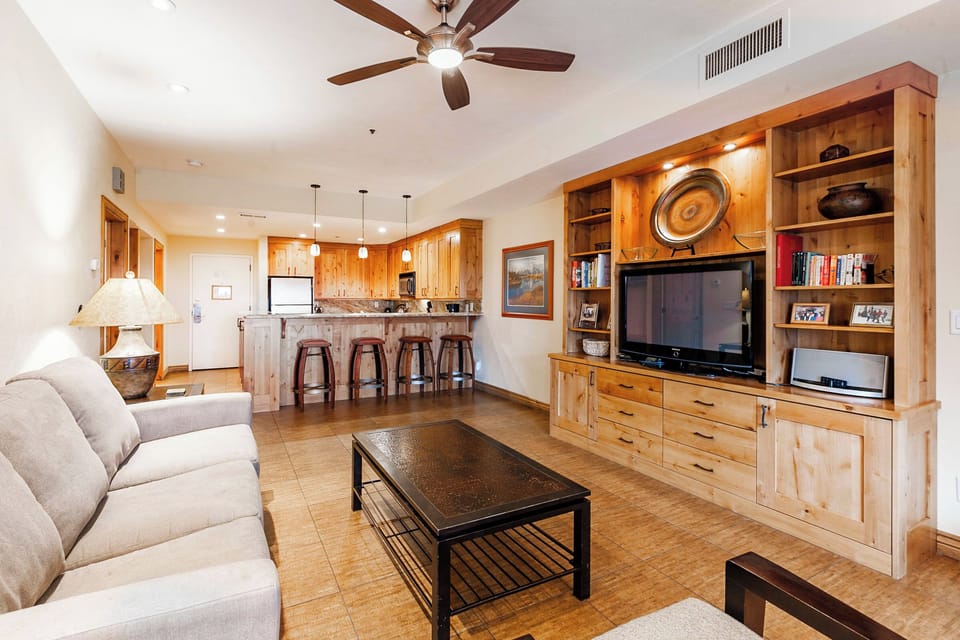 Living Area / Kitchen