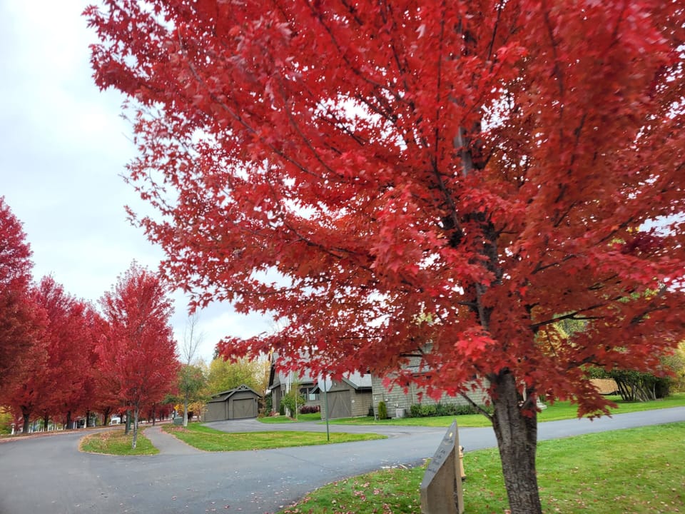 Enjoy Autumn Walk through Adjacent Dover Bay