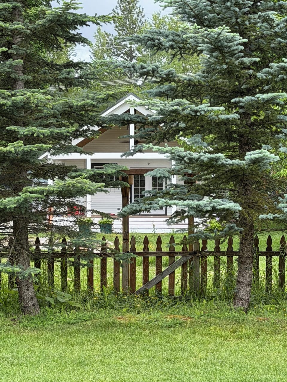 View of Home and Yard 