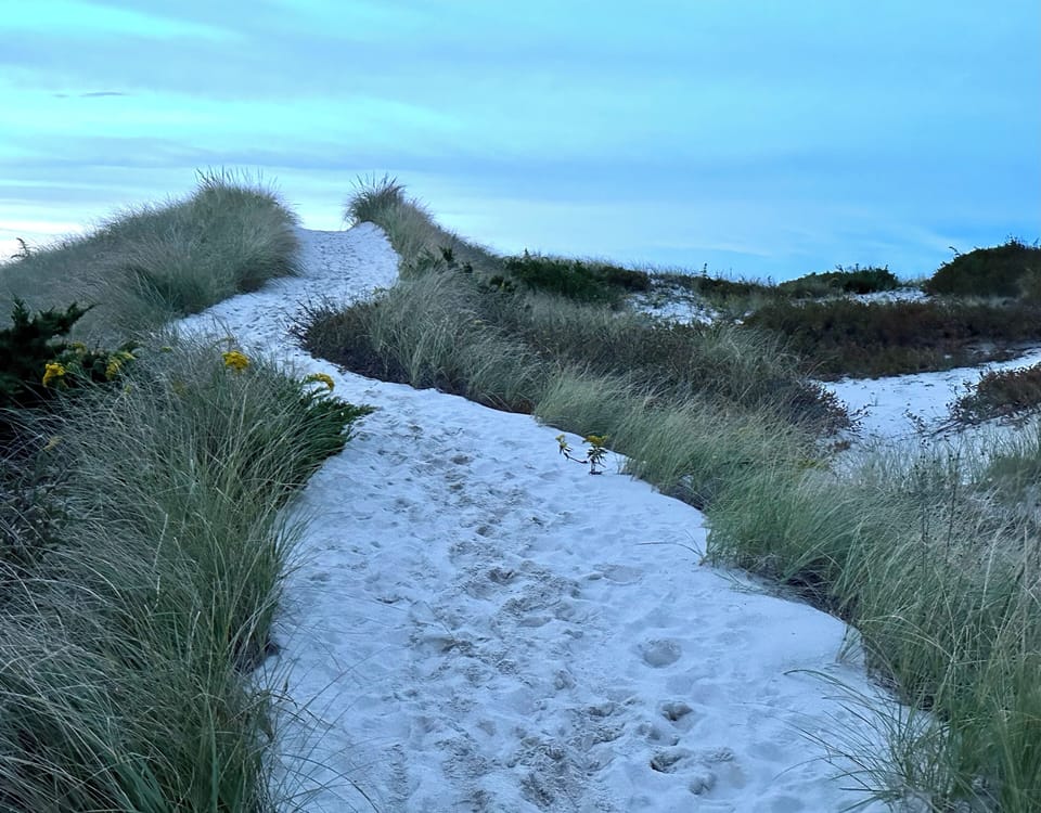 Path to the  East Sandwich beach at dusk