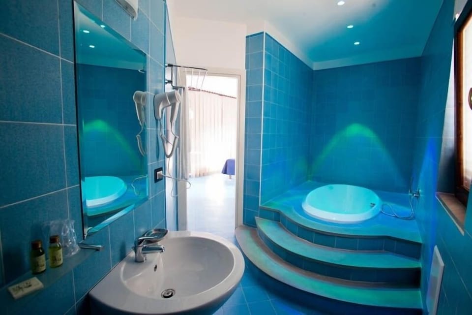 Shower, hair dryer, bidet