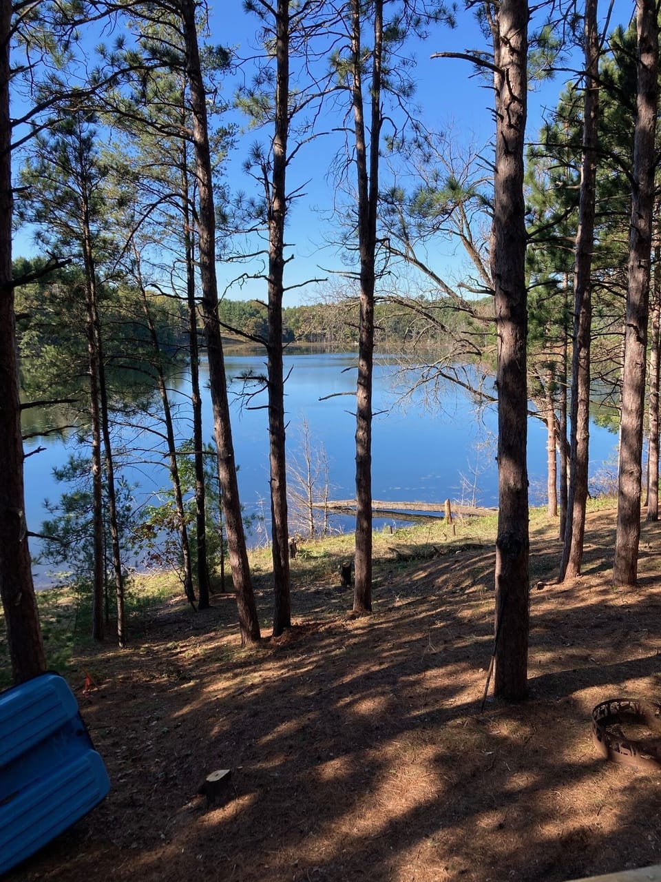 View from deck - bring your fishing pole and limit out on this stocked lake!!
