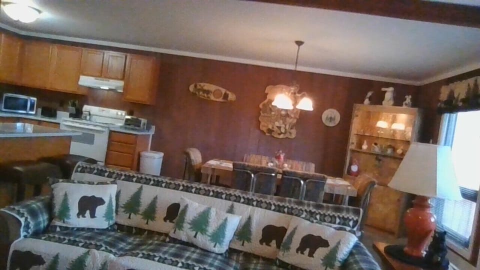 living room /queen sleeper sofa