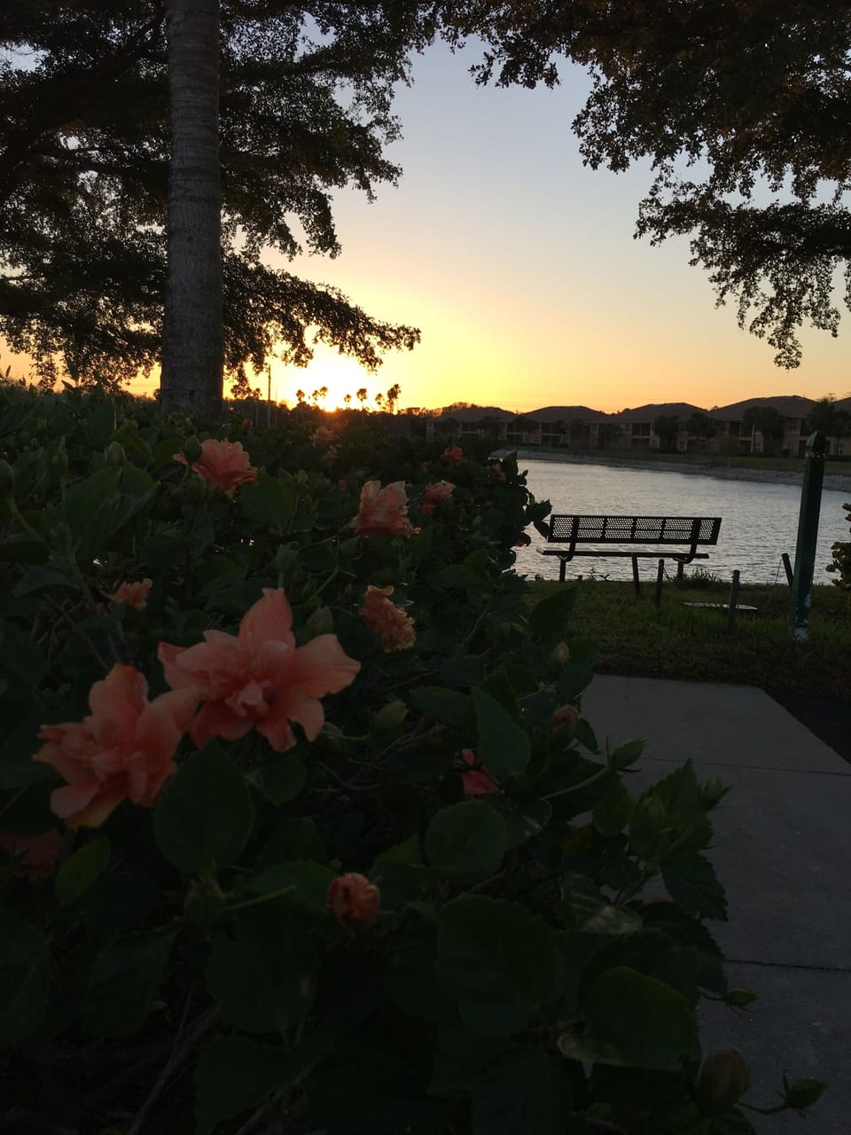 Across from home is a pool and lake with views like this.
