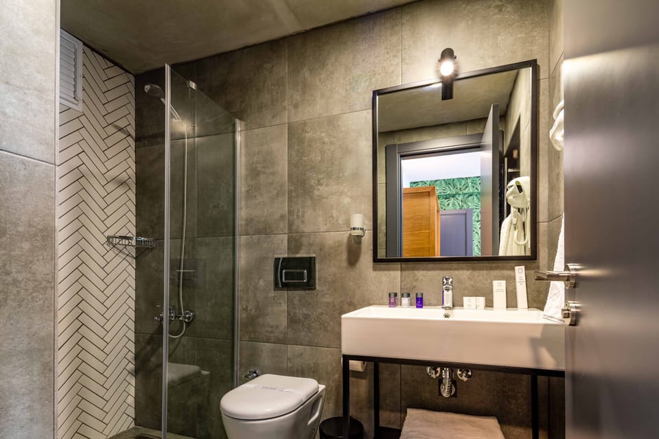 Shower, free toiletries, hair dryer, bathrobes