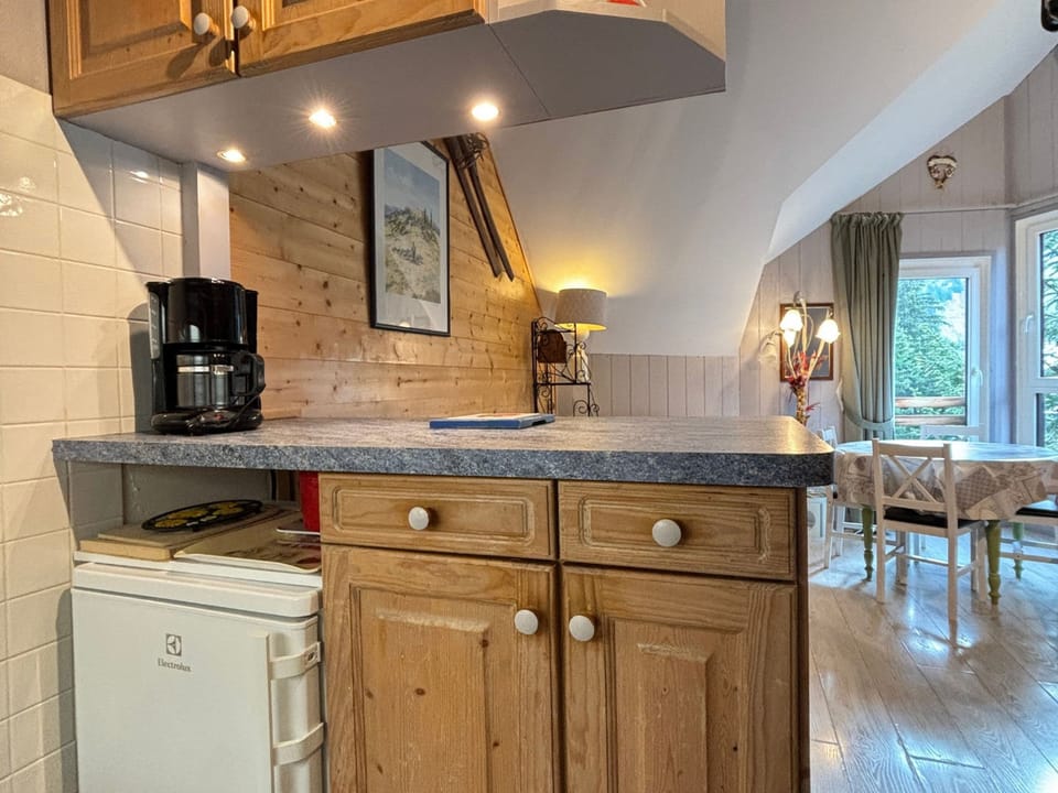 Comfortable Duplex Studio for 4, Avoriaz Apartment in Avoriaz