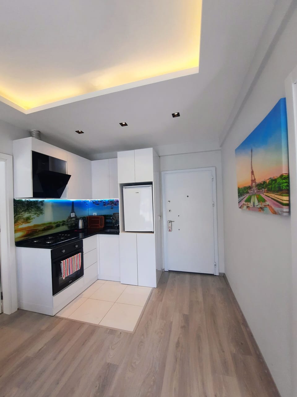 Fridge, stovetop, electric kettle, rice cooker