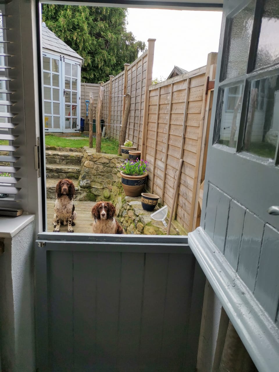 Space for dogs to dry off