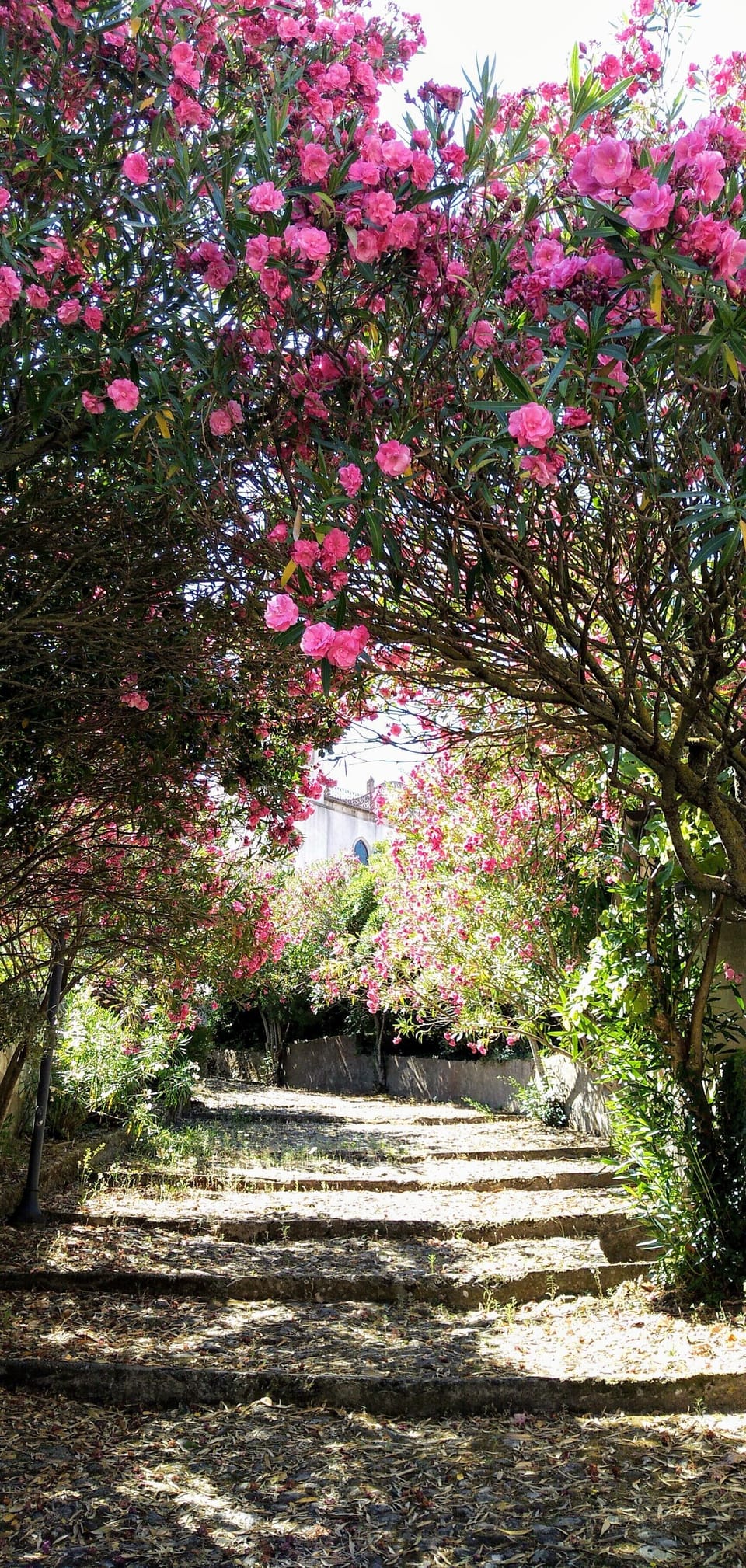 Image 15