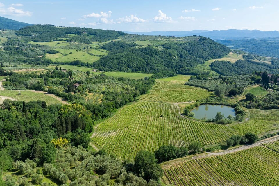 Outdoor, Scenic View